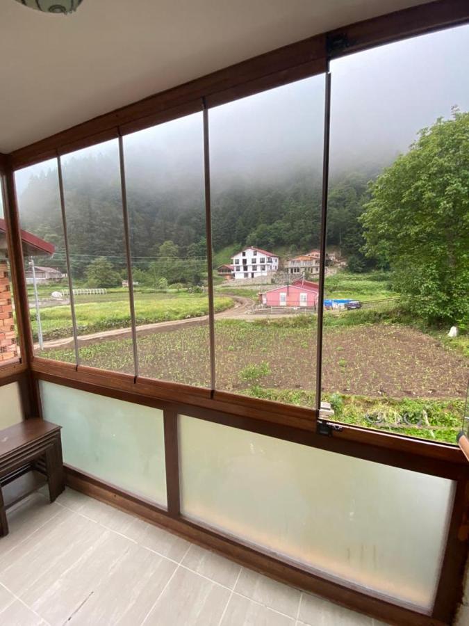 Talipoglu Apart Lejlighedshotel Uzungöl Eksteriør billede