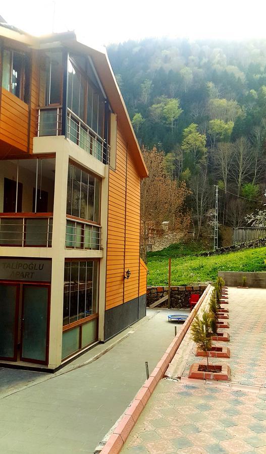 Talipoglu Apart Lejlighedshotel Uzungöl Eksteriør billede